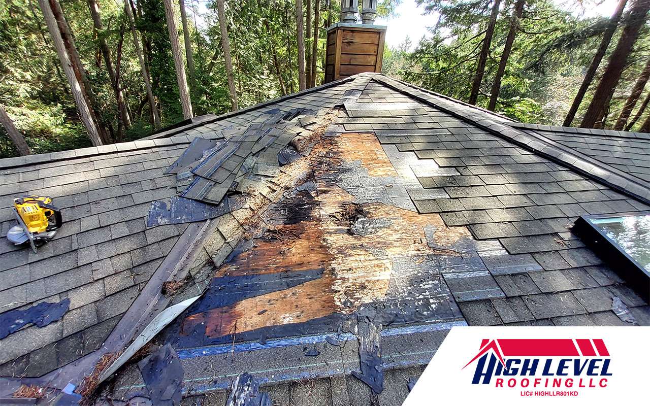 roof ruin by storm