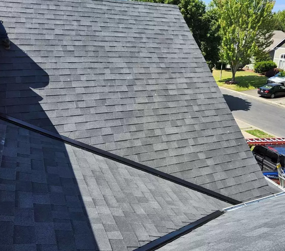 roofing-repair-section-1