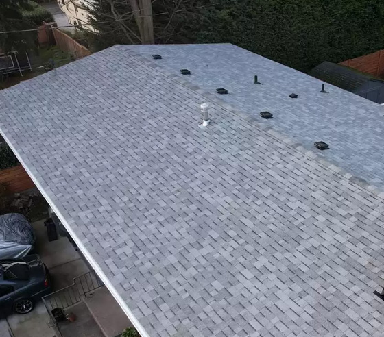 roofing-replacement-section-1